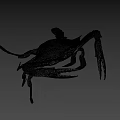 Fresh Raw Blue Swimming Crab With Long Claws And Spotted Legs