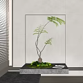 Indoor Bonsai Plant with Curved Stems Green Moss and Books on Gray Table