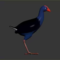 Blue And Black Bird With Red Beak And Red Legs 3D Rendered On Gray Background