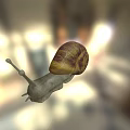 Small Snail With Brown Yellow Shell And Gray Body On Blurred Background