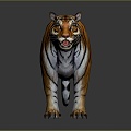 Tiger Tiger Tiger Down Mountain Tiger Siberian Tiger South China Tiger Wild Tiger Tiger Carved Stone Tiger 3d model