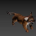 Playful Tiger Cub Running Dynamic 3D Model Black Background 3d model