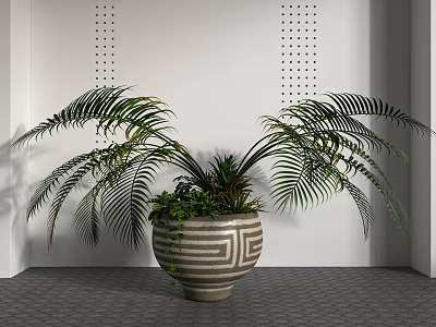 Large Leaf Bonsai Potted Plant With Striped Pattern Pot Against White Wall And Gray Floor 3d model