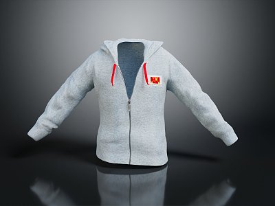 Sweater Casual Wear Hoodie Spring and Autumn Clothing 3d model