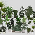 Diverse Indoor Potted Plants In Stylish Ceramic Pots For Home Decor