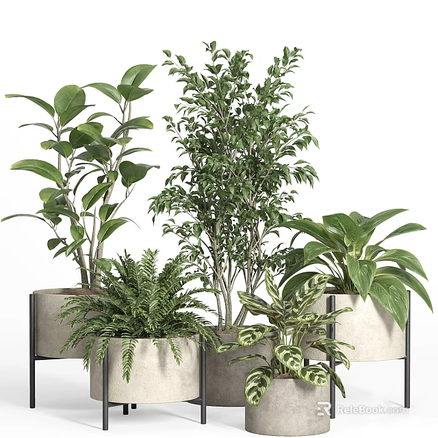 Stylish Vase Flowers With Various Green Plants Different Leaf Shapes And Ceramic Pots 3d model 