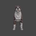 Realistic Brown and White Dog Game Movie Character 3D Model with Alert Expression