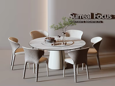 Modern Surreal Focus Round Table And Woven Chairs Set With Decorative Plant 3d model