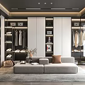 Modern Walk in Closet Interior Design with Cabinets Hanging Clothes Shoes Bags Sofa and Lighting