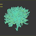 Vibrant Chrysanthemum With Red And Yellow Petals On Dark Background