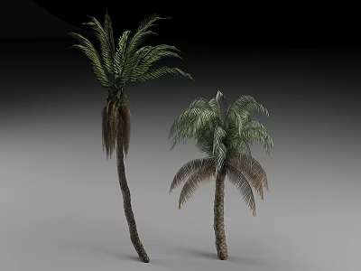Two Palm Trees with Green and Brown Fronds Standing on Gray Background 3d model