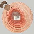 Round Rug With Orange Red Wavy Texture And Open Book On Top