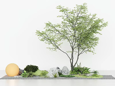 Indoor Landscape With Tall Tree Green Leaves Yellow Sphere Stones Green Plants And White Background 3d model