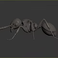 Realistic Shiny Metallic Ant 3D Rendered With Detailed Texture On Dark Background