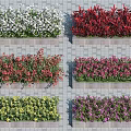 Colorful Flower Varieties In Rectangular Planter Boxes With Various Colors On Brick Wall 3d model