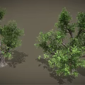 Cartoon Scene Featuring Two Trees With Green Leaves And Curved Trunks On Gray Background