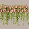 Lush Hanging Pink Flowers With Trailing Green Vines For Garden Decoration
