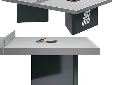 Professional Ping Pong Table With Net Paddles And Balls For Sports Equipment 3d model