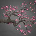 Pink Plum Blossom Shaped Pastry With Delicate Sweet Flavor And Gray Background