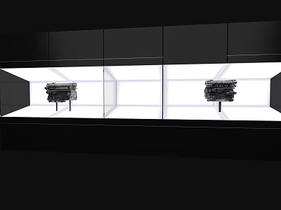 Modern Display Case With Sculptural Installations On White Platforms In Black Cabinet 3d model