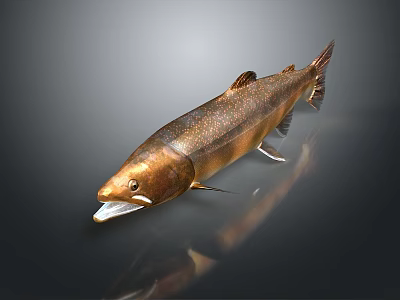 Household Essential Whole Golden Fish with Shiny Scales and Fresh Daily Seafood 3d model