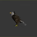 Majestic Eagle Spreading Wings With Detailed Brown Feathers And Sharp Yellow Talons
