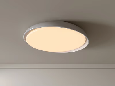 Modern Round White Illuminated Ceiling Mounted Flush Mount Lighting Fixture 3d model