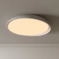 Modern Round White Illuminated Ceiling Mounted Flush Mount Lighting Fixture 3d model