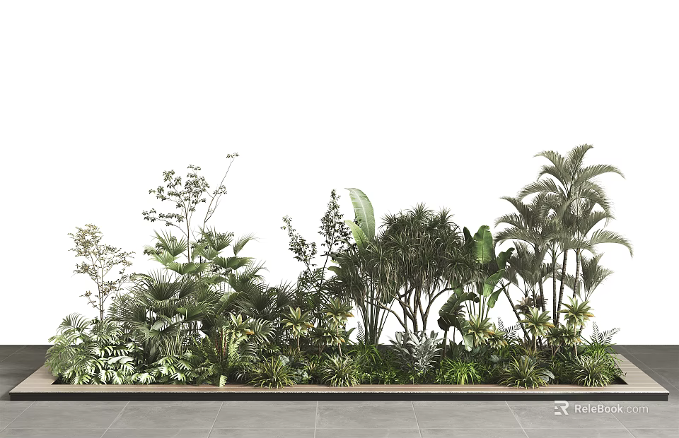 Lush Green Plants Display Featuring Various Tropical And Decorative Foliage Arrangement 3d model 