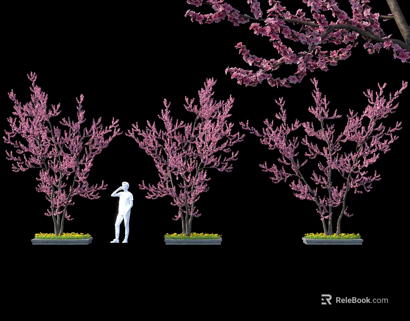 Pink Flowering Trees In Outdoor Landscape With Green Grass And Standing Person 3d model 