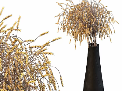 Elegant Decorative Ornament Set with Golden Wheat Ears Bouquet in Black Vase 3d model