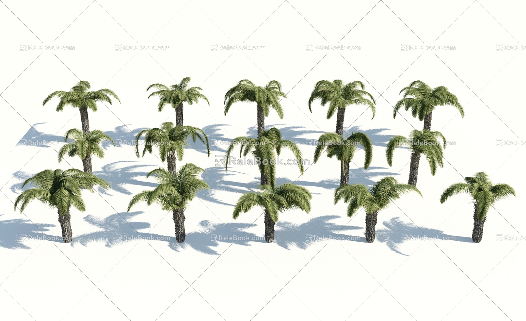 Modern Palm Tree 3d model