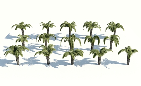 Modern Palm Tree 3d model