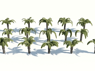 Modern Palm Tree 3d model