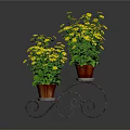 Yellow Flowering Plants in Red Pots on Black Wrought Iron Ornate Stand Against Dark Background