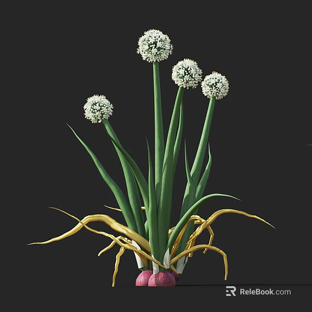 Beautiful White Spherical Flowers With Green Stems And Yellow Roots 3d model 