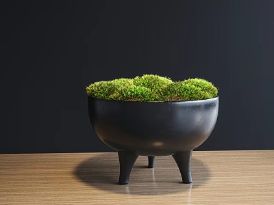 Bonsai Plant With Green Moss In Black Three Legged Pot On Wooden Tabletop 3d model