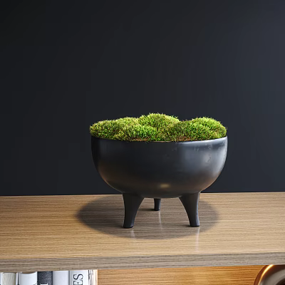 Bonsai Plant With Green Moss In Black Three Legged Pot On Wooden Tabletop 3d model
