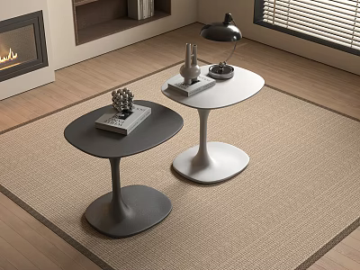 Modern Round Black and White Side Tables with Cylindrical Bases for Living Room Decor 3d model