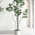 Green Potted Plants In White Cylindrical Pots With White Wall Arched Windows And Wood Logs