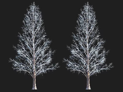 Two Leafless Arbor Trees With Snow Covered Branches On Black Background 3d model