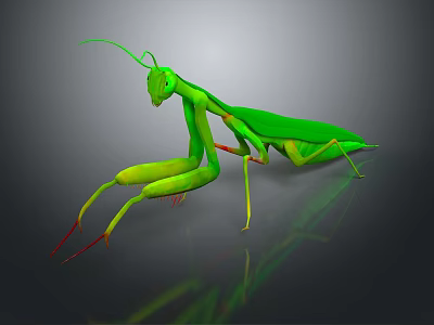 Detailed Green Mantis With Long Legs Antennae And Reflection On Dark Background 3d model