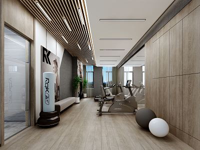 Modern Gym 3d model