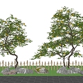 Modern landscape courtyard tree shape lemon tree orange tree landscape garden stone 3d model