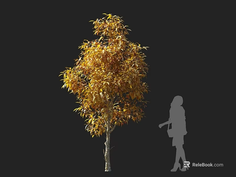 Standing Tall Arbor With Golden Yellow Leaves And Person Silhouette 3d model 