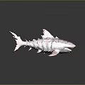 Mythical Red Purple Shark With Lava Like Cracked Texture And Fiery Appearance
