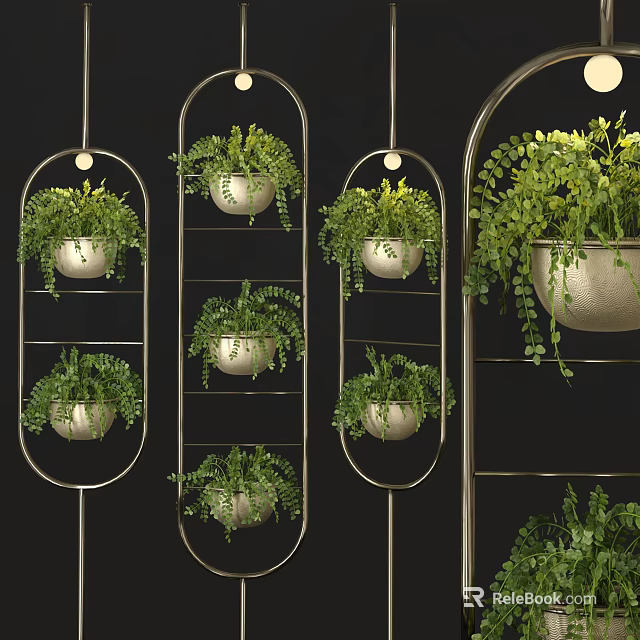 Stylish Hanging Basket Plants with Metal Frames and Lush Green Ferns 3d model 