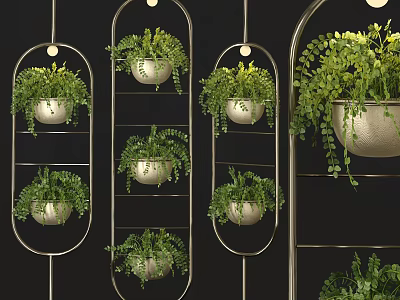 Stylish Hanging Basket Plants with Metal Frames and Lush Green Ferns 3d model