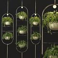 Stylish Hanging Basket Plants with Metal Frames and Lush Green Ferns