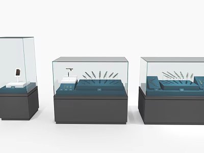 Modern Glass Display Cases With Black Bases Showcasing Exhibition Items 3d model